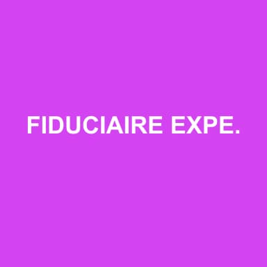 Logo de FIDUCIAIRE EXPERTS CONSEILS