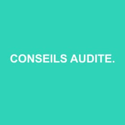 Logo Conseils Auditeurs & Associes - Expert-comptable à Béziers