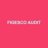 FIGESCO AUDIT
