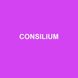 Logo de CONSILIUM