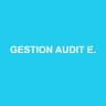 GESTION AUDIT EXPERTISE