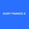 AUDIT FINANCE EXPERT