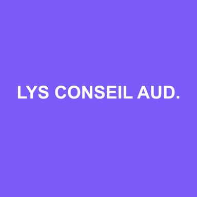 Logo de LYS CONSEIL AUDIT ET EXPERTISE