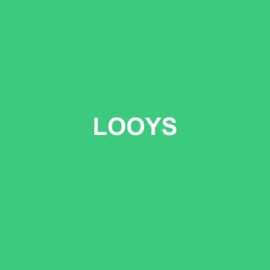 Logo de LOOYS