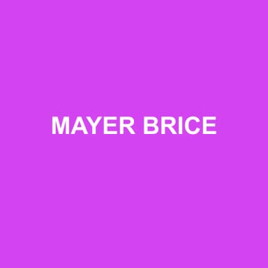 Logo de MAYER BRICE