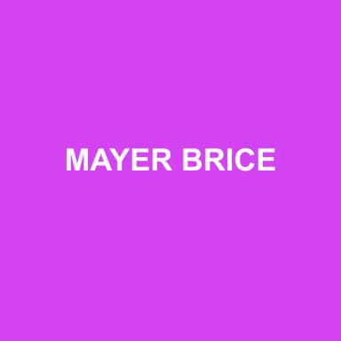 Logo de MAYER BRICE