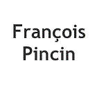 Logo de FRANCOIS PINCIN EXPERTISE COMPTABLE