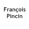FRANCOIS PINCIN EXPERTISE COMPTABLE