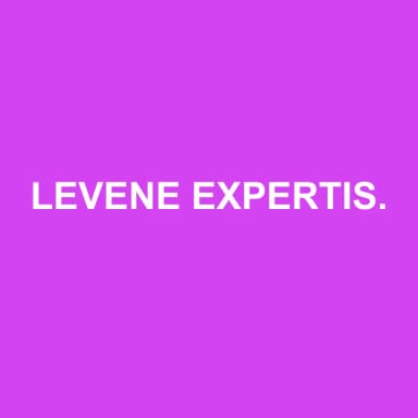 Logo de LEVENE EXPERTISE COMPTABLE AUDIT