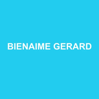 Logo de BIENAIME GERARD