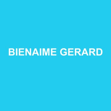 Logo de BIENAIME GERARD