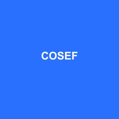 Logo de COSEF