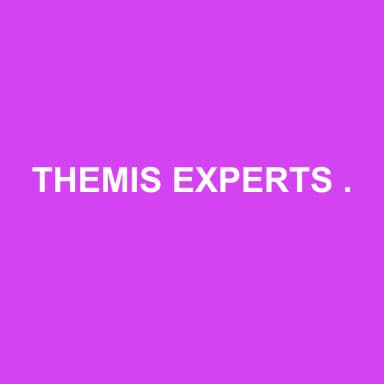 Logo de THEMIS EXPERTS ASSOCIES