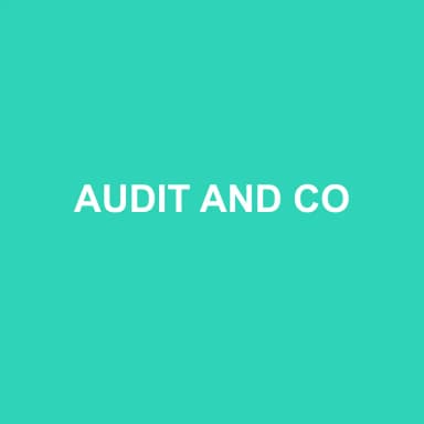 Logo de AUDIT AND CO