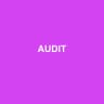 AUDIT