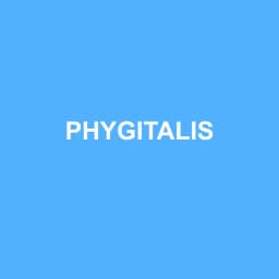 Logo Phygitalis - Expert-comptable à Attignat