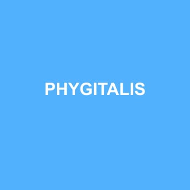 Logo de PHYGITALIS