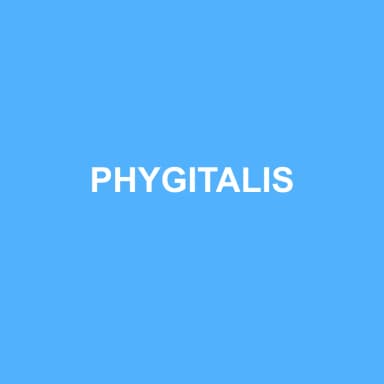 Logo de PHYGITALIS