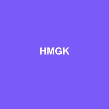 Logo de HMGK