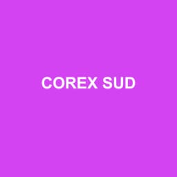 Logo Corex Sud - Expert-comptable à Saint-Martin-de-Crau