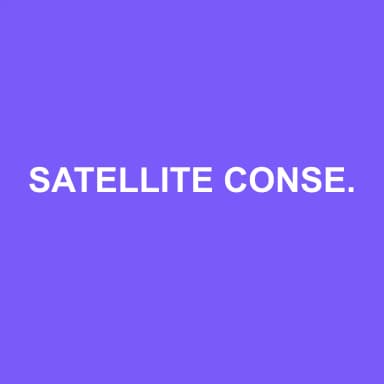 Logo de SATELLITE CONSEILS