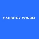 Logo CAUDITEX CONSEIL AUDIT EXPERTISE COMPTABLE