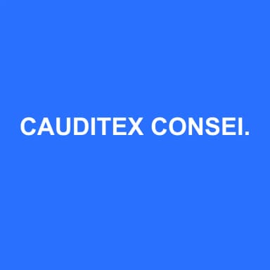 Logo de CAUDITEX CONSEIL AUDIT EXPERTISE COMPTABLE