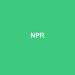 Logo Npr - Expert-comptable à Enval