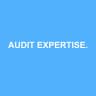 AUDIT EXPERTISE COMPTABLE CONSEIL ET ORGANISATION