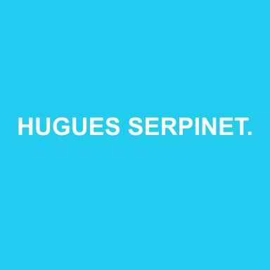 Logo de HUGUES SERPINET CONSULTANT