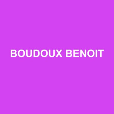 Logo de BOUDOUX BENOIT