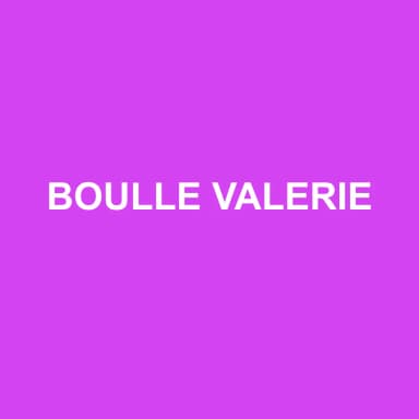 Logo de BOULLE VALERIE