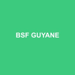 Logo Bsf Guyane - Expert-comptable à Kourou