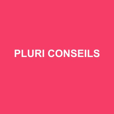 Logo de PLURI CONSEILS