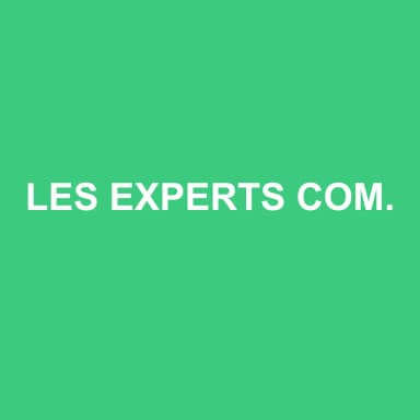 Logo de LES EXPERTS COMPT'ACTES