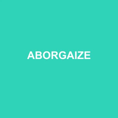 Logo de ABORGAIZE