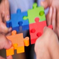 Expertizia - photo 3