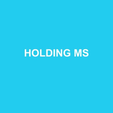 Logo de HOLDING MS