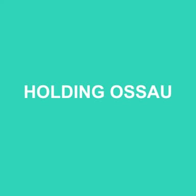 Logo de HOLDING OSSAU