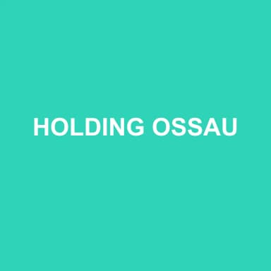 Logo de HOLDING OSSAU