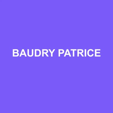 Logo de BAUDRY PATRICE