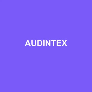 Logo de AUDINTEX