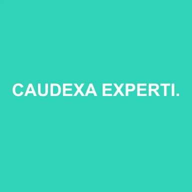 Logo de CAUDEXA EXPERTISE