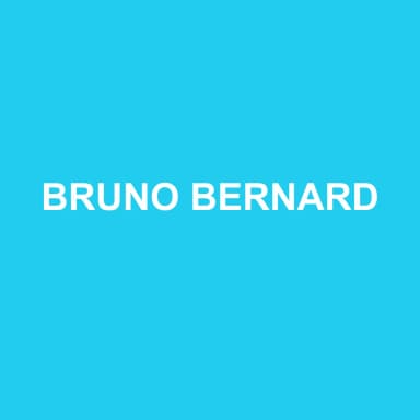 Logo de BRUNO BERNARD