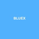 Logo BLUEX