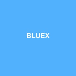 Logo de BLUEX