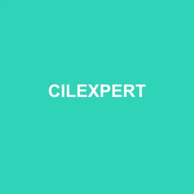 Logo de CILEXPERT