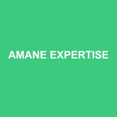 Logo de AMANE EXPERTISE