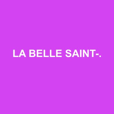 Logo de LA BELLE SAINT-LOISE