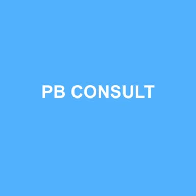 Logo de PB CONSULT